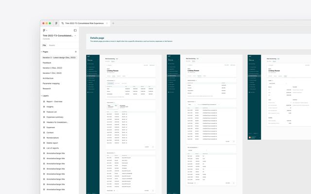 Figma design file showing details page layouts for consolidated risk experience.