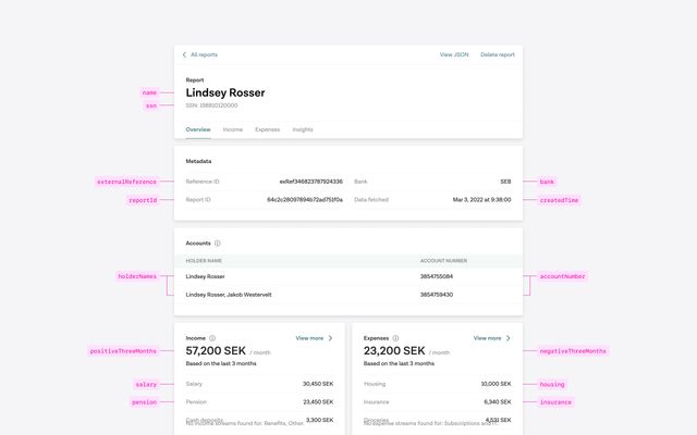 Risk report overview with annotated fields for personal, account, and financial data.